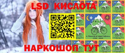 молекула духа Донецк