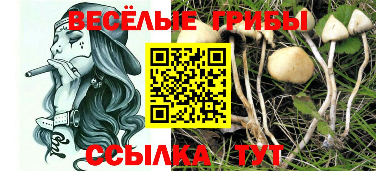 Псилоцибиновые грибы ЛСД  Вход с VPN  Малоярославец  Псилоцибиновые грибы MAGIC MUSHROOMS 